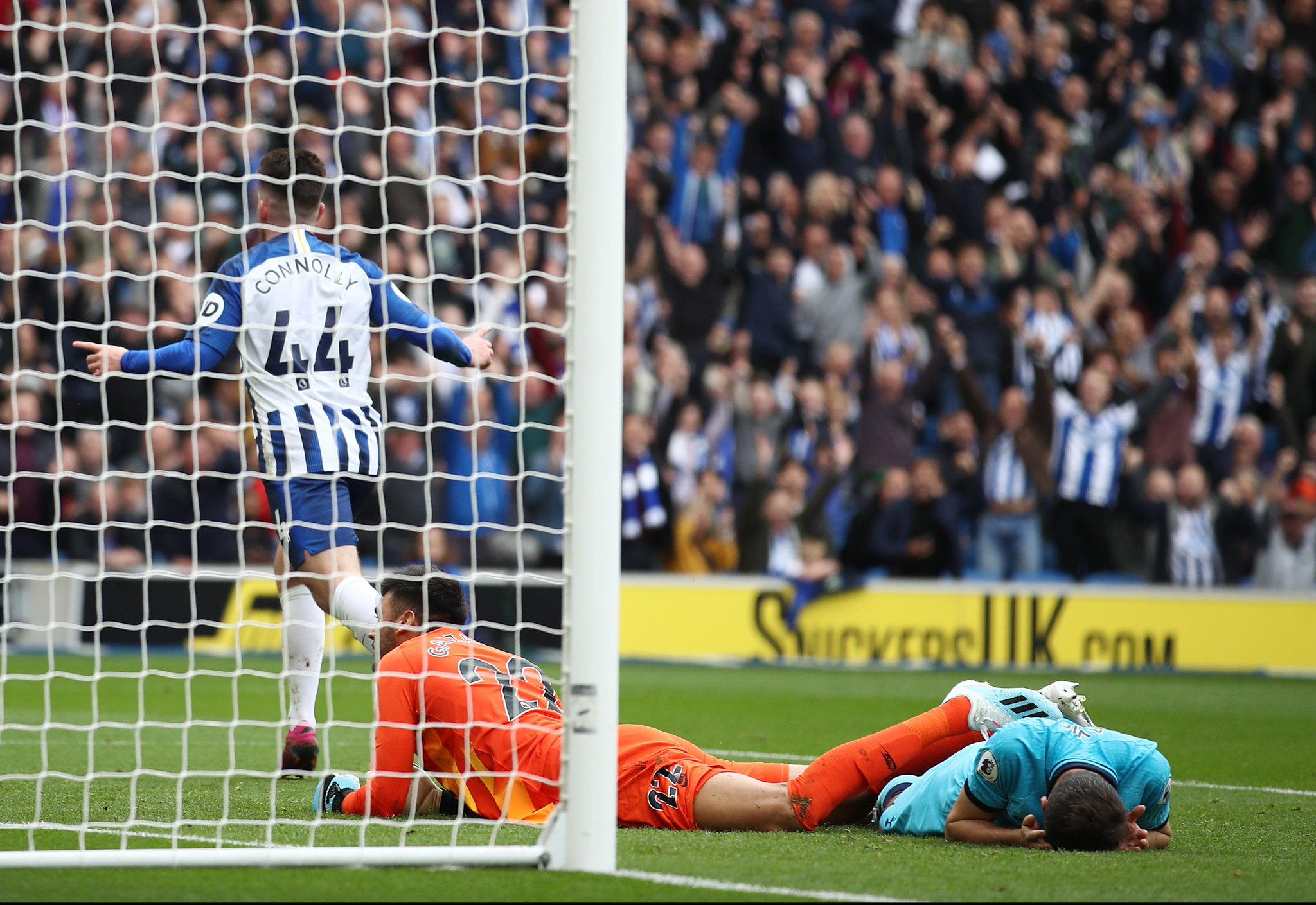 了身体健康 了身体健康